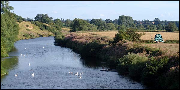 Bridge Sollers - Wye Valley.